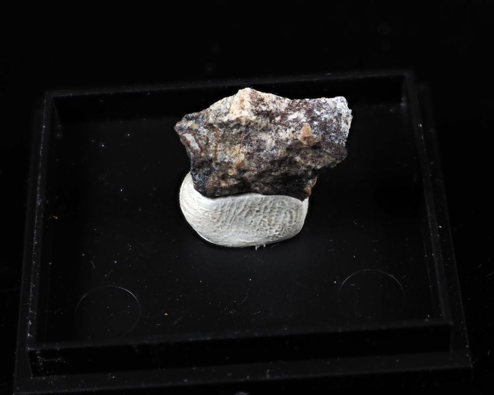 Srebrodolskite